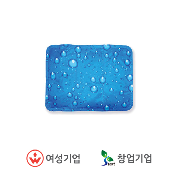 나노가드 아이스 쿨방석 블루 FREE 20EA/BOX